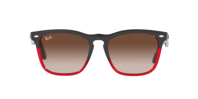 Ray-Ban Steve Sunglasses RB4487 663113