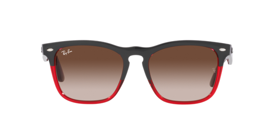 Ray-Ban Steve Sunglasses RB4487 663113