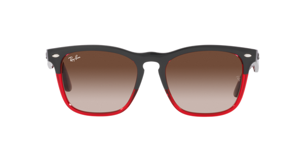 Ray-Ban Steve RB4487 663113