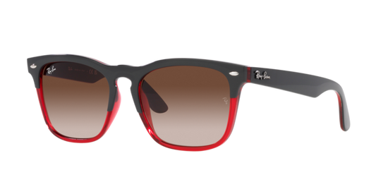 Ray-Ban Steve Sunglasses RB4487 663113