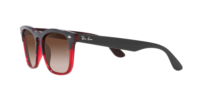 Ray-Ban Steve Sunglasses RB4487 663113