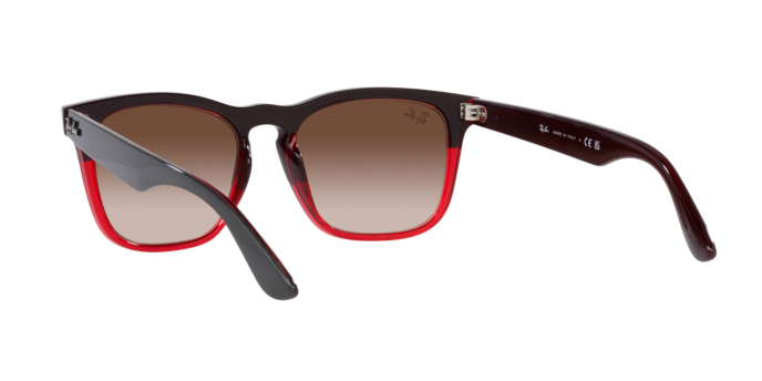 Ray-Ban Steve Sunglasses RB4487 663113