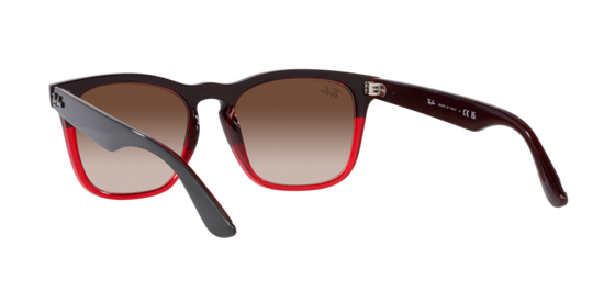 Ray-Ban Steve Sunglasses RB4487 663113