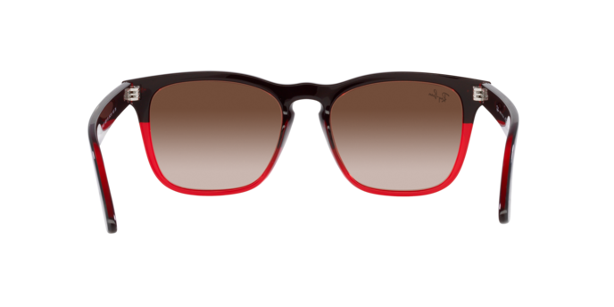 Ray-Ban Steve Sunglasses RB4487 663113