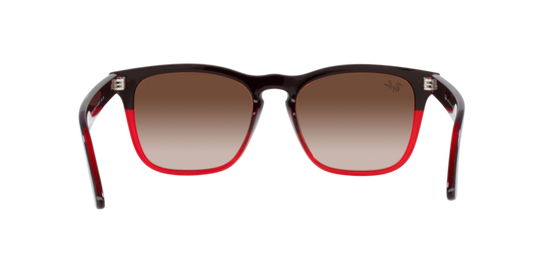 Ray-Ban Steve Sunglasses RB4487 663113