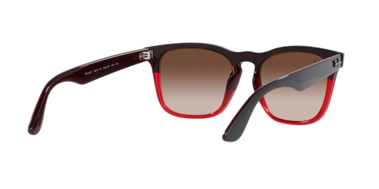 Ray-Ban Steve Sunglasses RB4487 663113