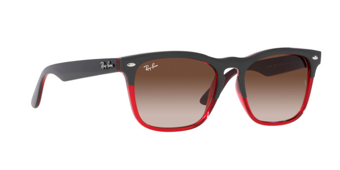 Ray-Ban Steve Sunglasses RB4487 663113