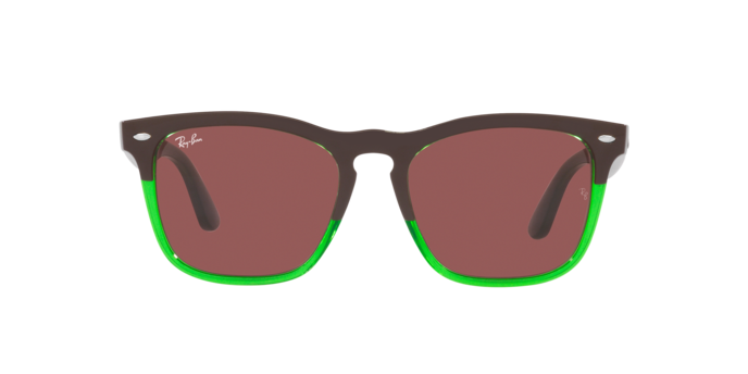 Ray-Ban Steve Sunglasses RB4487 663469