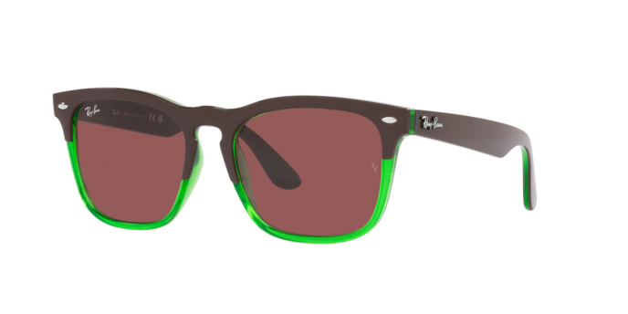 Ray-Ban Steve Sunglasses RB4487 663469
