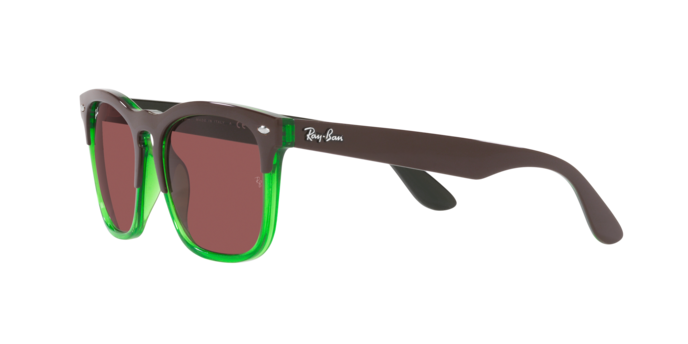 Ray-Ban Steve Sunglasses RB4487 663469