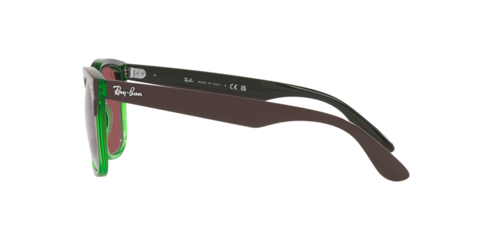 Ray-Ban Steve Sunglasses RB4487 663469