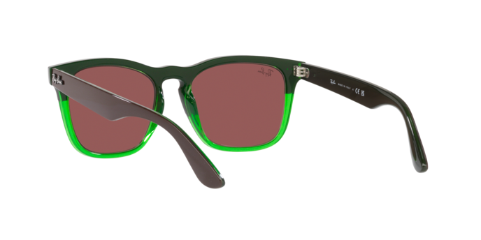 Ray-Ban Steve Sunglasses RB4487 663469