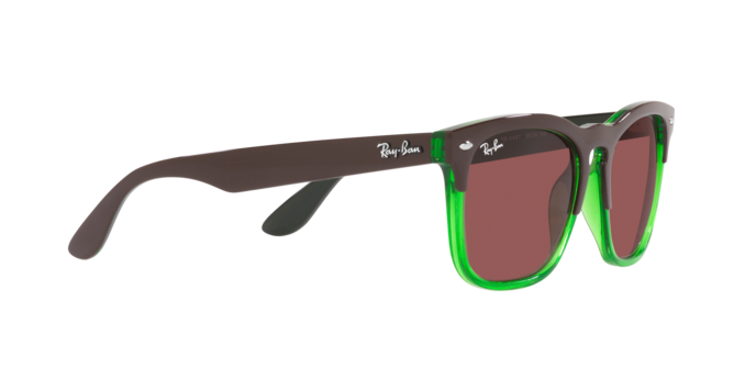 Ray-Ban Steve Sunglasses RB4487 663469