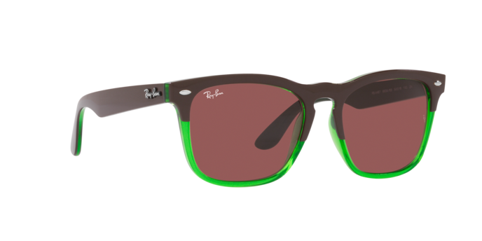 Ray-Ban Steve Sunglasses RB4487 663469