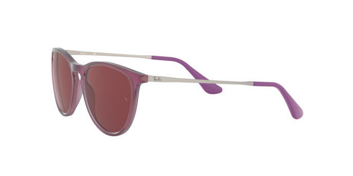 Ray-Ban Junior Erika RJ9060S 705675