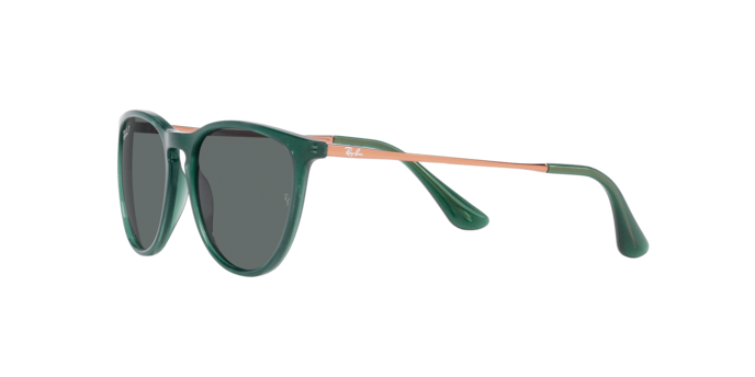 Ray-Ban Junior Erika RJ9060S 713081