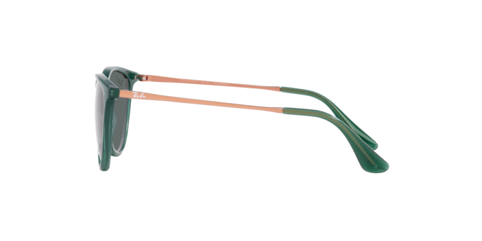 Ray-Ban Junior Erika RJ9060S 713081