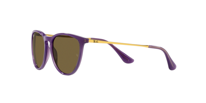 Ray-Ban Junior Erika RJ9060S 713173