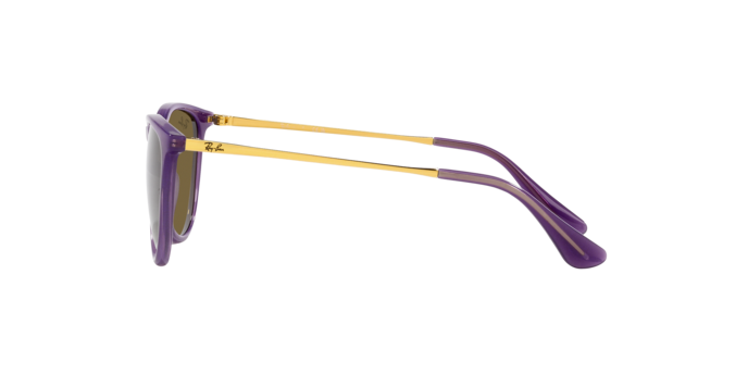 Ray-Ban Junior Erika RJ9060S 713173