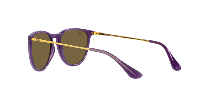 Ray-Ban Junior Erika RJ9060S 713173