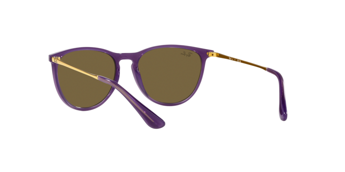Ray-Ban Junior Erika RJ9060S 713173