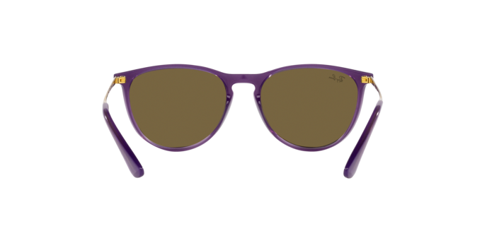 Ray-Ban Junior Erika RJ9060S 713173