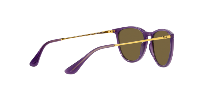 Ray-Ban Junior Erika RJ9060S 713173