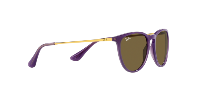 Ray-Ban Junior Erika RJ9060S 713173