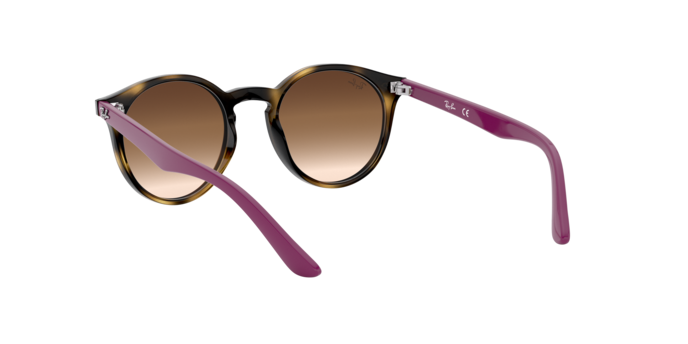 Ray-Ban RJ9064S 704113