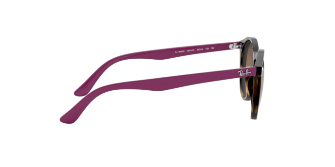 Ray-Ban RJ9064S 704113