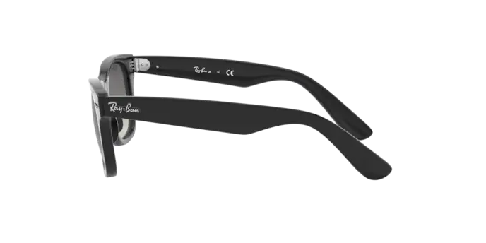 Ray-Ban Junior Wayfarer RJ9066S 100/11