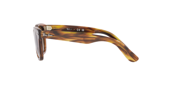 Ray-Ban Junior Wayfarer RJ9066S 712713