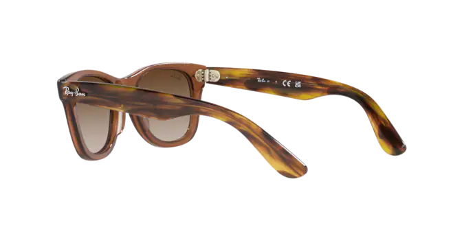 Ray-Ban Junior Wayfarer RJ9066S 712713