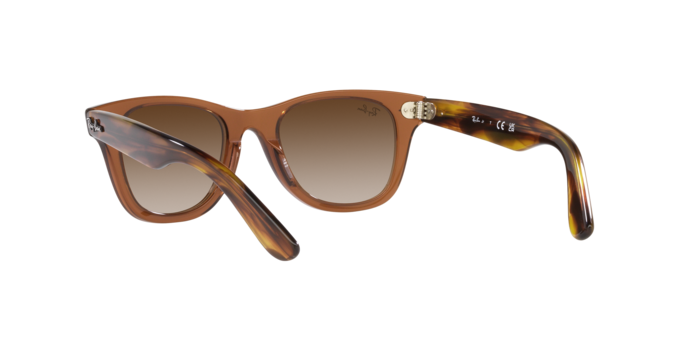 Ray-Ban Junior Wayfarer RJ9066S 712713