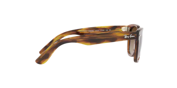 Ray-Ban Junior Wayfarer RJ9066S 712713