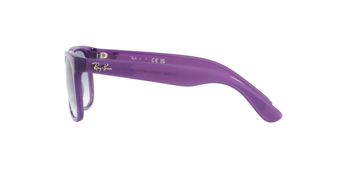 Ray-Ban Junior Justin RJ9069S 713119