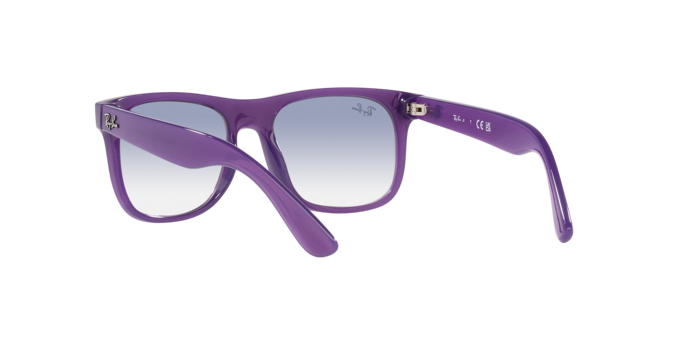 Ray-Ban Junior Justin RJ9069S 713119