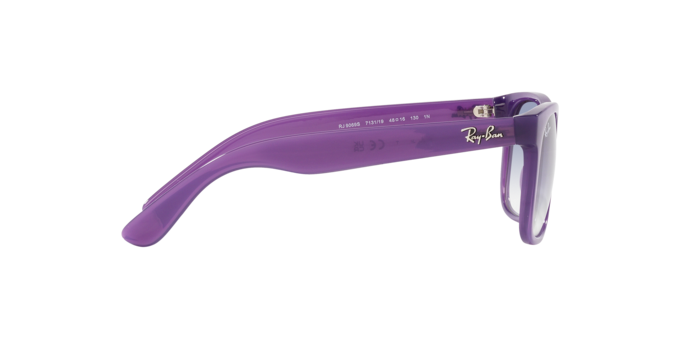 Ray-Ban Junior Justin RJ9069S 713119