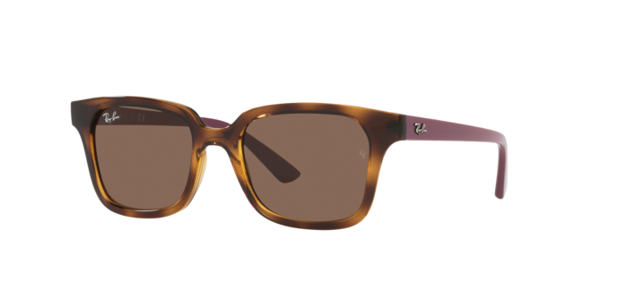 Ray-Ban RJ9071S 712173