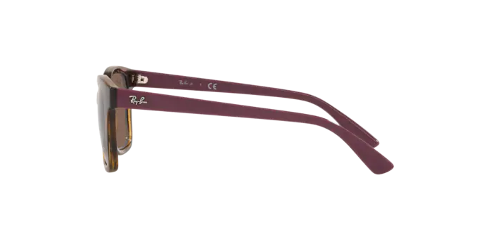 Ray-Ban RJ9071S 712173