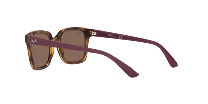 Ray-Ban RJ9071S 712173