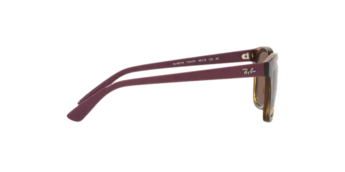 Ray-Ban RJ9071S 712173