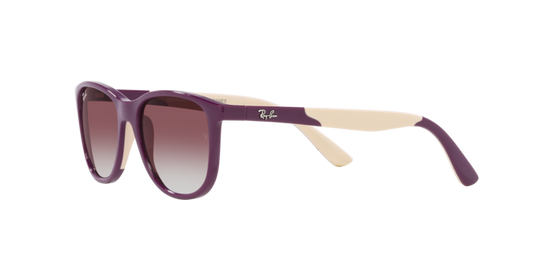 Ray-Ban RJ9077S 71348G