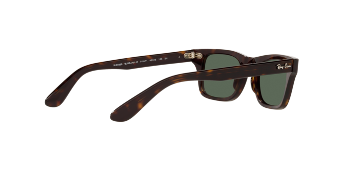 Ray-Ban Junior Burbank RJ9083S 710271