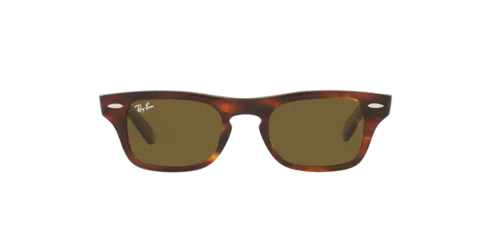 Ray-Ban Junior Burbank RJ9083S 710373