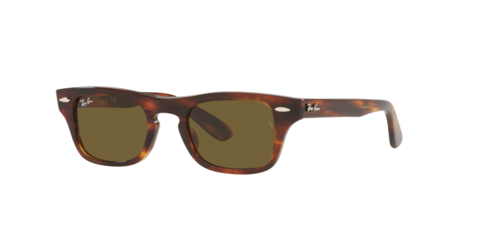Ray-Ban Junior Burbank RJ9083S 710373