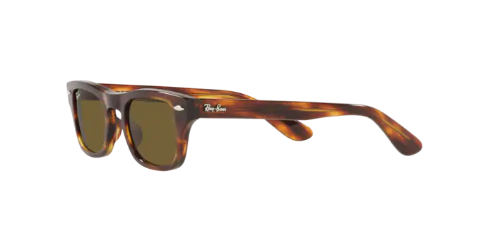 Ray-Ban Junior Burbank RJ9083S 710373