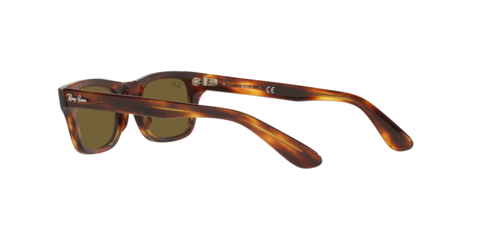 Ray-Ban Junior Burbank RJ9083S 710373