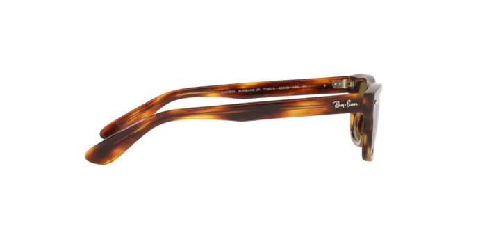Ray-Ban Junior Burbank RJ9083S 710373
