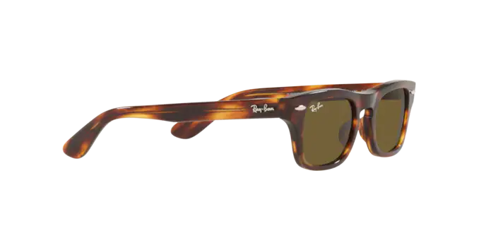 Ray-Ban Junior Burbank RJ9083S 710373